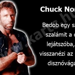 Chuck Norris és a szalámi