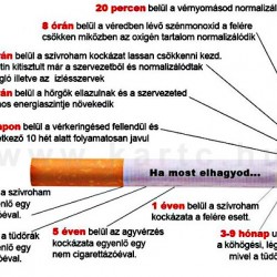 Mit jelent leszokni a dohányzásról?